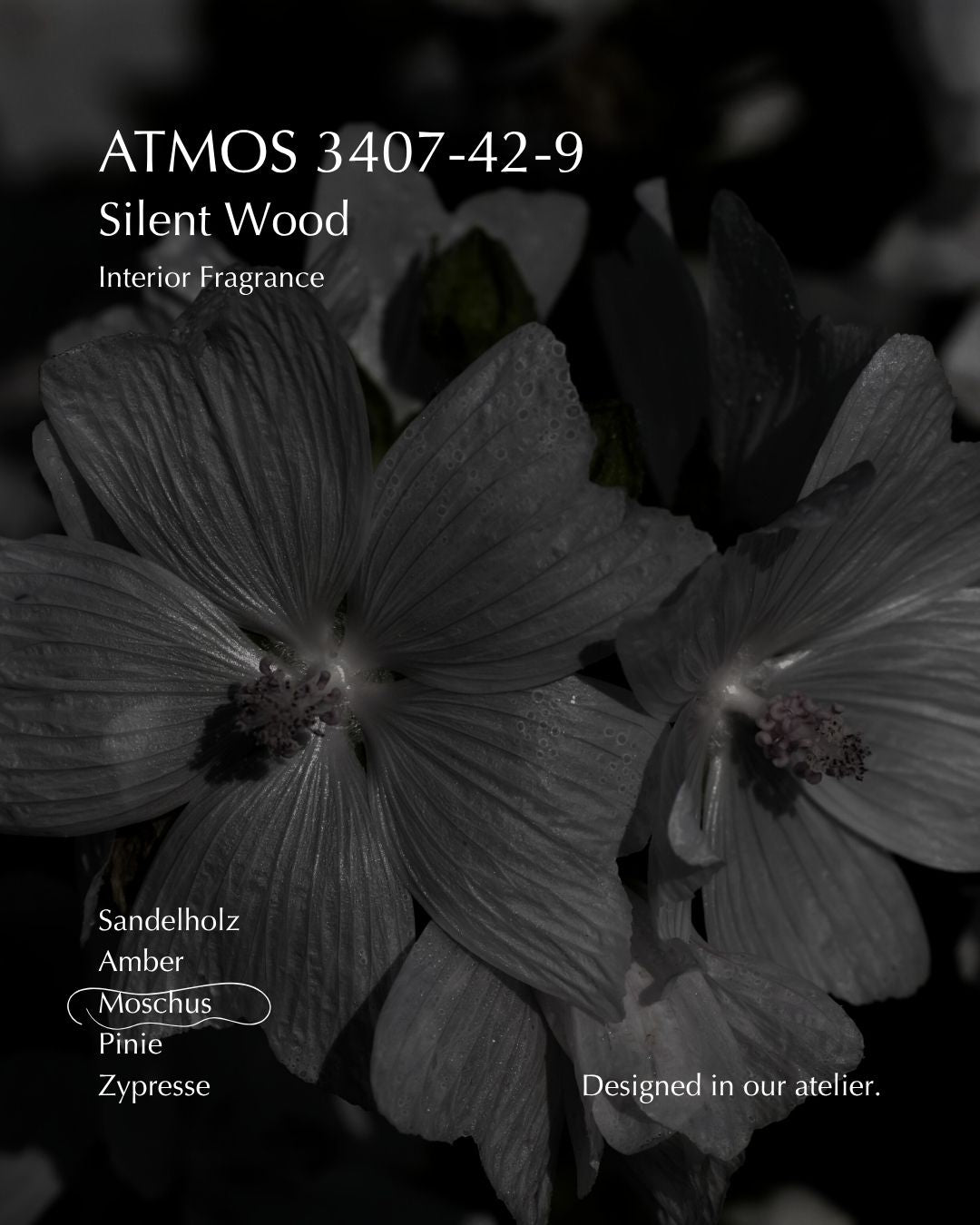 ATMOS 3407-42-9 Raumduft Silent Wood mit Moschus – weiche, sanfte Duftnote für zeitlose Atmosphäre